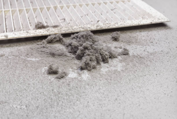 Best HVAC Air Duct Cleaning  in Steger, IL