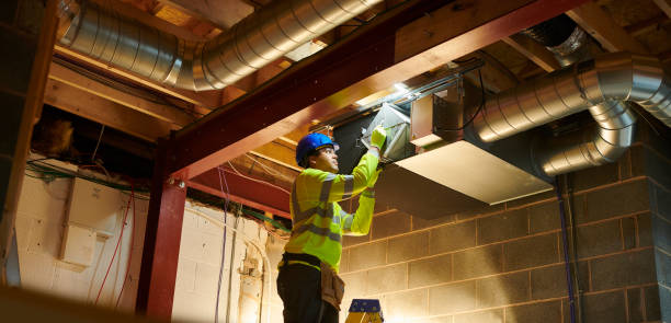 Best Duct Cleaning for Homes  in Steger, IL
