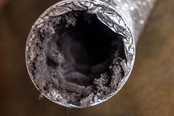Best Best Air Duct Cleaning Near Me  in Steger, IL