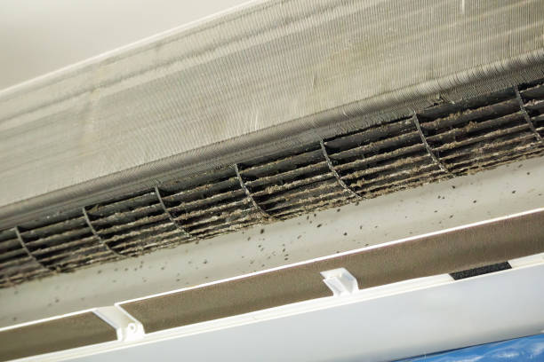 Best Residential Air Duct Cleaning  in Steger, IL