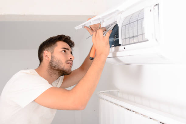 Air Duct Mold Removal in Steger, IL